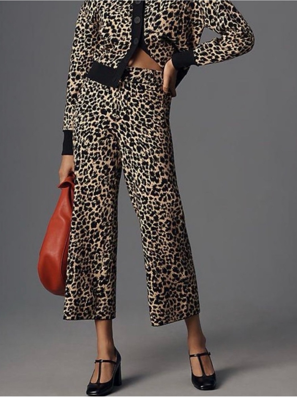 NWT Anthropologie The Colette Sweater Knit Wide-Leg Pants Cheetah XXS